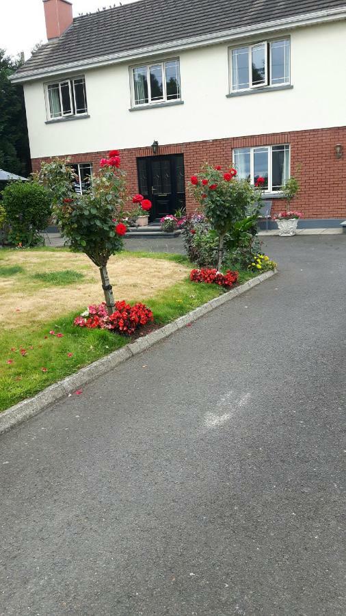 Scapaflow B&B O'Briensbridge Dış mekan fotoğraf